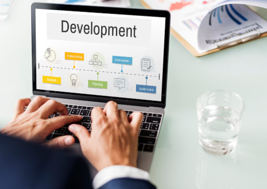 Custom Web Development