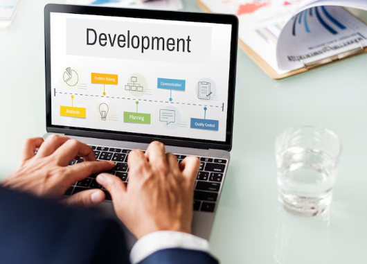⦁ custom web development company